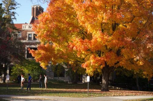 Fall 2014 - Scenics
