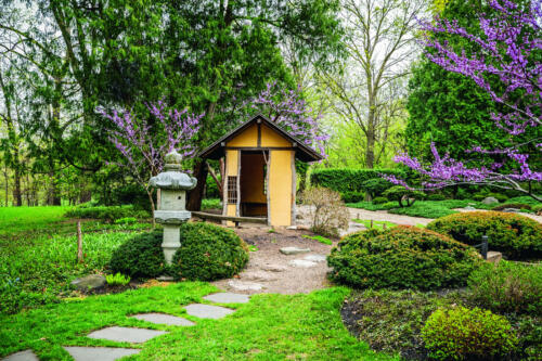 Japanese Garden