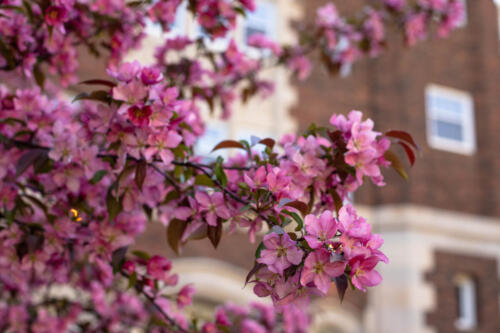 Spring Campus Scenes 2020