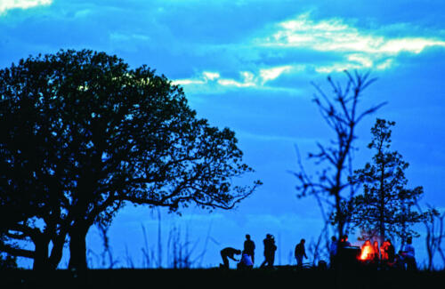 TOM ROSTER.jpg